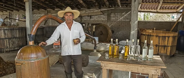 dégustation de mezcal dans un palenque artisanal à Oaxaca