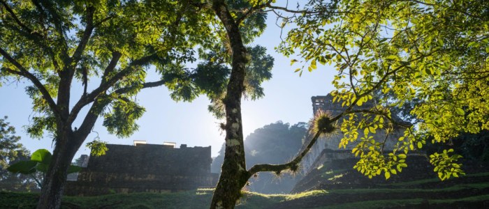 Lever de soleil sur Palenque avec silhouette humaine