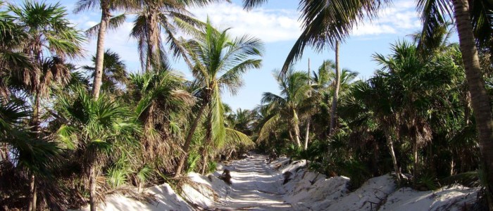 Route du Yucatán traversant une zone naturelle isolée