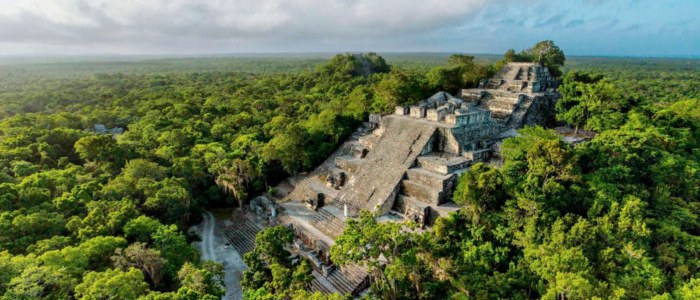 À Calakmul, la pyramide se mérite autant qu’elle se visite