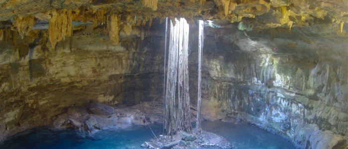 Vue d’ensemble du bassin bleu et des racines suspendues du cénote Samula